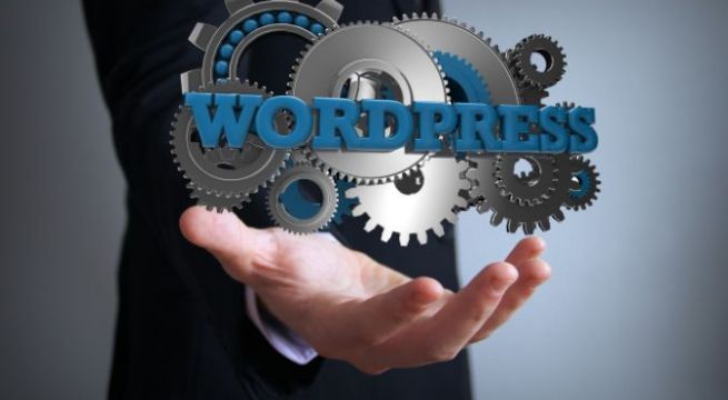 Développeur WordPress : Maîtriser les fondamentaux pour réussir