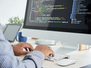 Développeur WordPress : Maîtriser les fondamentaux pour réussir