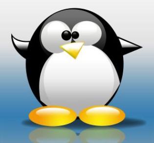 Les logiciels libres à Madagascar