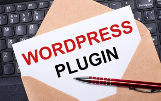 Plugins sur WordPress : comment faire pour résoudre les conflits ?