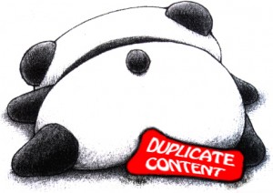 Rédaction Web