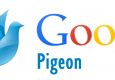 SEO Google Pigeon : mis à jour l'international